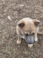 processed/5a16a881-3ba2-43b4-b8b5-ef95dd9deadd/listing/f82e4346-6ba7-4f12-b04f-271ac76b97a8/7cb4b520-ba50-4b1c-8e4b-e24947cd1c3d