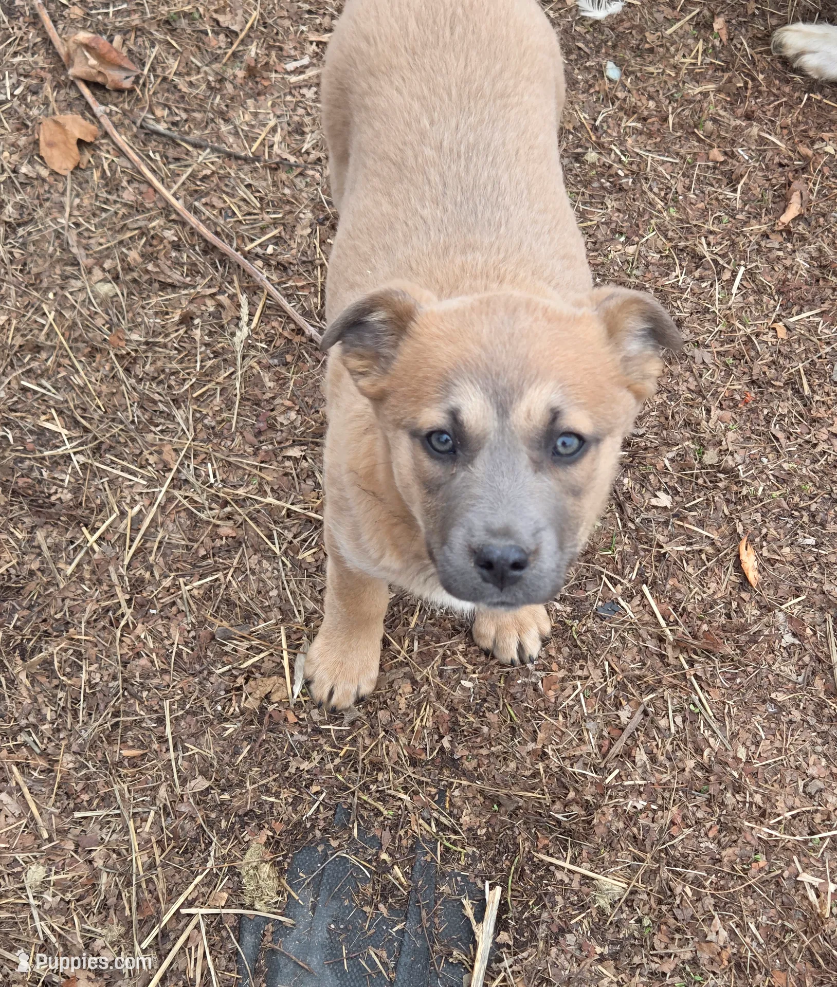 processed/5a16a881-3ba2-43b4-b8b5-ef95dd9deadd/listing/f82e4346-6ba7-4f12-b04f-271ac76b97a8/cab46ed5-6805-4153-a1a8-e0a7f81bdd2e