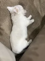 processed/5a1a377e-833e-4257-b0aa-b7d2b541253c/listing/a8260a2a-15da-478a-9d8f-eb48ffd259a9/394944ee-0e79-406c-9f06-a7d232031699