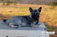 processed/5a1d887e-e2c4-4dff-8c61-ce6484802568/listing/7cdb5f25-4e69-461c-8cbd-0f1f35512600/278cc83e-4bc0-4593-b7b6-8e61dadb65b0