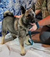 processed/5a1d887e-e2c4-4dff-8c61-ce6484802568/listing/7cdb5f25-4e69-461c-8cbd-0f1f35512600/bb2bbe3a-14dd-4113-8a1f-f5b1d83fa6a9