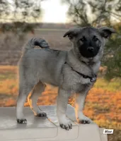 processed/5a1d887e-e2c4-4dff-8c61-ce6484802568/listing/d927f9b9-8397-4274-b8bb-9df12844aadb/9006d299-72ad-43d4-b6bf-ef53263f468a