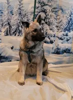 processed/5a1d887e-e2c4-4dff-8c61-ce6484802568/listing/d927f9b9-8397-4274-b8bb-9df12844aadb/df0445fd-934e-4832-ba9e-8d7b1f092d57