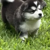 processed/5a2092a3-6e1f-4d21-9b61-65d813246473/facility/1195bdc3-0374-43e9-8563-f92dc9e759bd