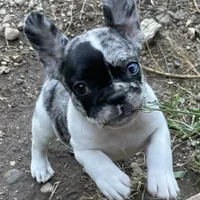 processed/5a2092a3-6e1f-4d21-9b61-65d813246473/facility/3306cdd9-95b9-4c75-80f8-6fadc78d485b