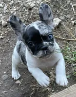 processed/5a2092a3-6e1f-4d21-9b61-65d813246473/facility/3306cdd9-95b9-4c75-80f8-6fadc78d485b