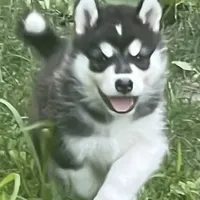 processed/5a2092a3-6e1f-4d21-9b61-65d813246473/facility/9626f4c6-d174-433b-8b70-7902ce6fdd28