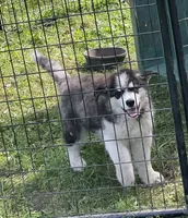 processed/5a2092a3-6e1f-4d21-9b61-65d813246473/listing/8a87d89e-e18d-42a6-a07b-084de2577669/88ff6609-a174-47e6-b821-3c93fec9cd55