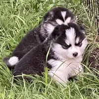 processed/5a2092a3-6e1f-4d21-9b61-65d813246473/listing/8a87d89e-e18d-42a6-a07b-084de2577669/d2170628-301c-4cdc-9a36-561ad9c115e8