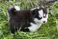 processed/5a2092a3-6e1f-4d21-9b61-65d813246473/listing/8a87d89e-e18d-42a6-a07b-084de2577669/ddfd0ec1-9922-45bb-a7b9-a2feb35d9c9d