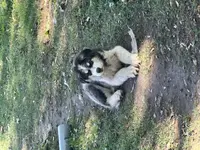 processed/5a2092a3-6e1f-4d21-9b61-65d813246473/listing/8a87d89e-e18d-42a6-a07b-084de2577669/e12d92cf-00a2-49e7-aa1f-91e8b80205ef