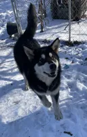 processed/5a2092a3-6e1f-4d21-9b61-65d813246473/listing/e9efaf5d-4e0a-4a5e-b926-d792ee5dec26/28d3f20e-0b6a-4ebf-9af2-1f11c1447c49