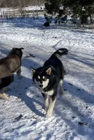 processed/5a2092a3-6e1f-4d21-9b61-65d813246473/listing/e9efaf5d-4e0a-4a5e-b926-d792ee5dec26/686f5898-9b62-4da3-9077-47f83254336f