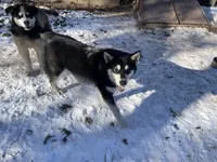 processed/5a2092a3-6e1f-4d21-9b61-65d813246473/listing/e9efaf5d-4e0a-4a5e-b926-d792ee5dec26/753c8ccb-6349-4676-9144-bb1d70b69532