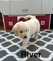 processed/5a2b1741-c7ac-42e7-9eed-f659ee72b257/listing/dc01b3f1-70f4-4cff-8228-f1a728decfa7/28483e7f-e04d-4ed4-9a94-d383913ab3c8