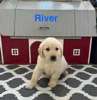 processed/5a2b1741-c7ac-42e7-9eed-f659ee72b257/listing/dc01b3f1-70f4-4cff-8228-f1a728decfa7/646cde74-2758-4cf2-be22-3837f8e80acc