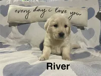 processed/5a2b1741-c7ac-42e7-9eed-f659ee72b257/listing/dc01b3f1-70f4-4cff-8228-f1a728decfa7/c81d24e3-d812-473b-88c0-ac86299d4401