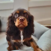 processed/5a2b75b2-4d9e-48cc-8268-c19f08d30d8a/facility/034092c2-c97f-4569-bfb3-448cf078f4cd