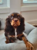 processed/5a2b75b2-4d9e-48cc-8268-c19f08d30d8a/facility/034092c2-c97f-4569-bfb3-448cf078f4cd