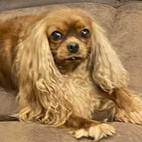 processed/5a2b75b2-4d9e-48cc-8268-c19f08d30d8a/facility/af399df0-1c6d-4849-836d-6fb805d74570