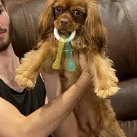 processed/5a2b75b2-4d9e-48cc-8268-c19f08d30d8a/facility/cfd73341-72c2-43f1-81cf-e702011473f1