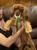 processed/5a2b75b2-4d9e-48cc-8268-c19f08d30d8a/facility/cfd73341-72c2-43f1-81cf-e702011473f1