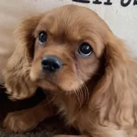 processed/5a2b75b2-4d9e-48cc-8268-c19f08d30d8a/facility/d4866f2d-4c2e-4c1b-92a5-a79e09f769a5