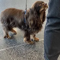 processed/5a2b75b2-4d9e-48cc-8268-c19f08d30d8a/facility/fc4fd9f3-0d8a-479e-a7b2-5530e9990783