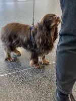 processed/5a2b75b2-4d9e-48cc-8268-c19f08d30d8a/facility/fc4fd9f3-0d8a-479e-a7b2-5530e9990783