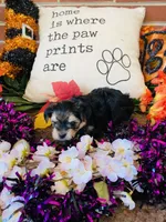 processed/5a2b75b2-4d9e-48cc-8268-c19f08d30d8a/listing/10f6d876-340e-4294-9e52-456831c8f0b4/8105eadd-bc6d-4429-850d-633b9c1b2639