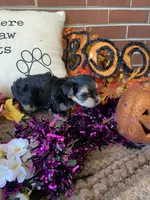 processed/5a2b75b2-4d9e-48cc-8268-c19f08d30d8a/listing/10f6d876-340e-4294-9e52-456831c8f0b4/df517558-ac61-4984-afbf-814c639514e6