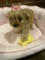 processed/5a2b75b2-4d9e-48cc-8268-c19f08d30d8a/listing/44ff30e9-2d81-40cd-9c7f-a1b5d80e009b/473ea0f6-2328-425e-ba0e-2ca7fde81877