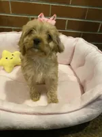 processed/5a2b75b2-4d9e-48cc-8268-c19f08d30d8a/listing/44ff30e9-2d81-40cd-9c7f-a1b5d80e009b/7219bb1a-502b-47e6-ad25-136594dd2b0b