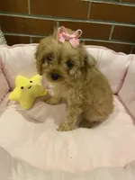 processed/5a2b75b2-4d9e-48cc-8268-c19f08d30d8a/listing/44ff30e9-2d81-40cd-9c7f-a1b5d80e009b/847796ab-9110-4b7c-be0e-2a0df9f9880e