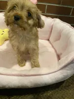 processed/5a2b75b2-4d9e-48cc-8268-c19f08d30d8a/listing/44ff30e9-2d81-40cd-9c7f-a1b5d80e009b/aa141d82-0740-4d55-916b-2a7369e824c3