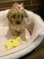 processed/5a2b75b2-4d9e-48cc-8268-c19f08d30d8a/listing/44ff30e9-2d81-40cd-9c7f-a1b5d80e009b/abef14e4-65a6-4c4c-abce-ced20b57dff4