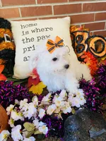 processed/5a2b75b2-4d9e-48cc-8268-c19f08d30d8a/listing/7eb78b39-58c5-4cf4-a30c-d2133248d91a/1e75dc52-3f4a-45b8-80f8-f0fa769e6229