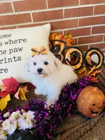 processed/5a2b75b2-4d9e-48cc-8268-c19f08d30d8a/listing/7eb78b39-58c5-4cf4-a30c-d2133248d91a/348cfe29-fa72-4c07-8518-d86428478293