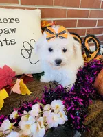 processed/5a2b75b2-4d9e-48cc-8268-c19f08d30d8a/listing/7eb78b39-58c5-4cf4-a30c-d2133248d91a/5102840d-b1e7-4c37-9f27-1bbcaf38745b