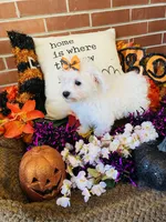 processed/5a2b75b2-4d9e-48cc-8268-c19f08d30d8a/listing/7eb78b39-58c5-4cf4-a30c-d2133248d91a/9961a197-3799-42c9-9ed8-12863a13dcc1