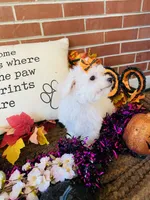 processed/5a2b75b2-4d9e-48cc-8268-c19f08d30d8a/listing/7eb78b39-58c5-4cf4-a30c-d2133248d91a/da472c59-3868-4307-9dbc-16e5de5c9711