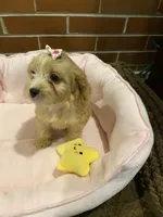 processed/5a2b75b2-4d9e-48cc-8268-c19f08d30d8a/listing/93f1e061-4a08-4629-aa8d-fb921d16ed32/1ae6d4f3-d22d-466e-b8a6-e3a97f4b053f