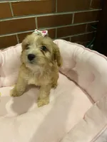 processed/5a2b75b2-4d9e-48cc-8268-c19f08d30d8a/listing/93f1e061-4a08-4629-aa8d-fb921d16ed32/ed2355cc-0db7-4cf6-aa47-e69fb3336bf8