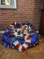 Biscuit, a female Cavalier King Charles Spaniel for sale in San Diego, CA – 4 of 8