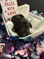 processed/5a2f9ef7-6b6e-45d7-ba38-b33a0b7938c0/listing/08103749-31ad-41e2-9ebb-f2535382284a/04005481-3a7f-4b4b-a4f1-6fcc9091519a