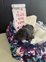 processed/5a2f9ef7-6b6e-45d7-ba38-b33a0b7938c0/listing/08103749-31ad-41e2-9ebb-f2535382284a/a87bc0a9-8c68-4f49-8a39-a2d2d3e576ea