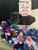 processed/5a2f9ef7-6b6e-45d7-ba38-b33a0b7938c0/listing/08103749-31ad-41e2-9ebb-f2535382284a/f12445d0-3421-4449-8a6c-6b9ed2d09f87