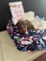 processed/5a2f9ef7-6b6e-45d7-ba38-b33a0b7938c0/listing/1336f8c4-eeae-4293-a0d4-64e16680a1dd/37872156-509f-49d3-9a57-8c1c1fbaacc7