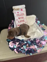 processed/5a2f9ef7-6b6e-45d7-ba38-b33a0b7938c0/listing/1336f8c4-eeae-4293-a0d4-64e16680a1dd/ba18ec07-3d7a-4dcb-99da-c7d7826dac63