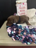 processed/5a2f9ef7-6b6e-45d7-ba38-b33a0b7938c0/listing/1336f8c4-eeae-4293-a0d4-64e16680a1dd/eb897379-c96f-4858-af55-5038250af9c5